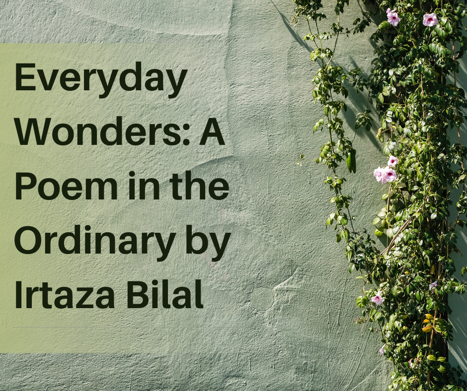 Everyday Wonders: A Poem in the Ordinary